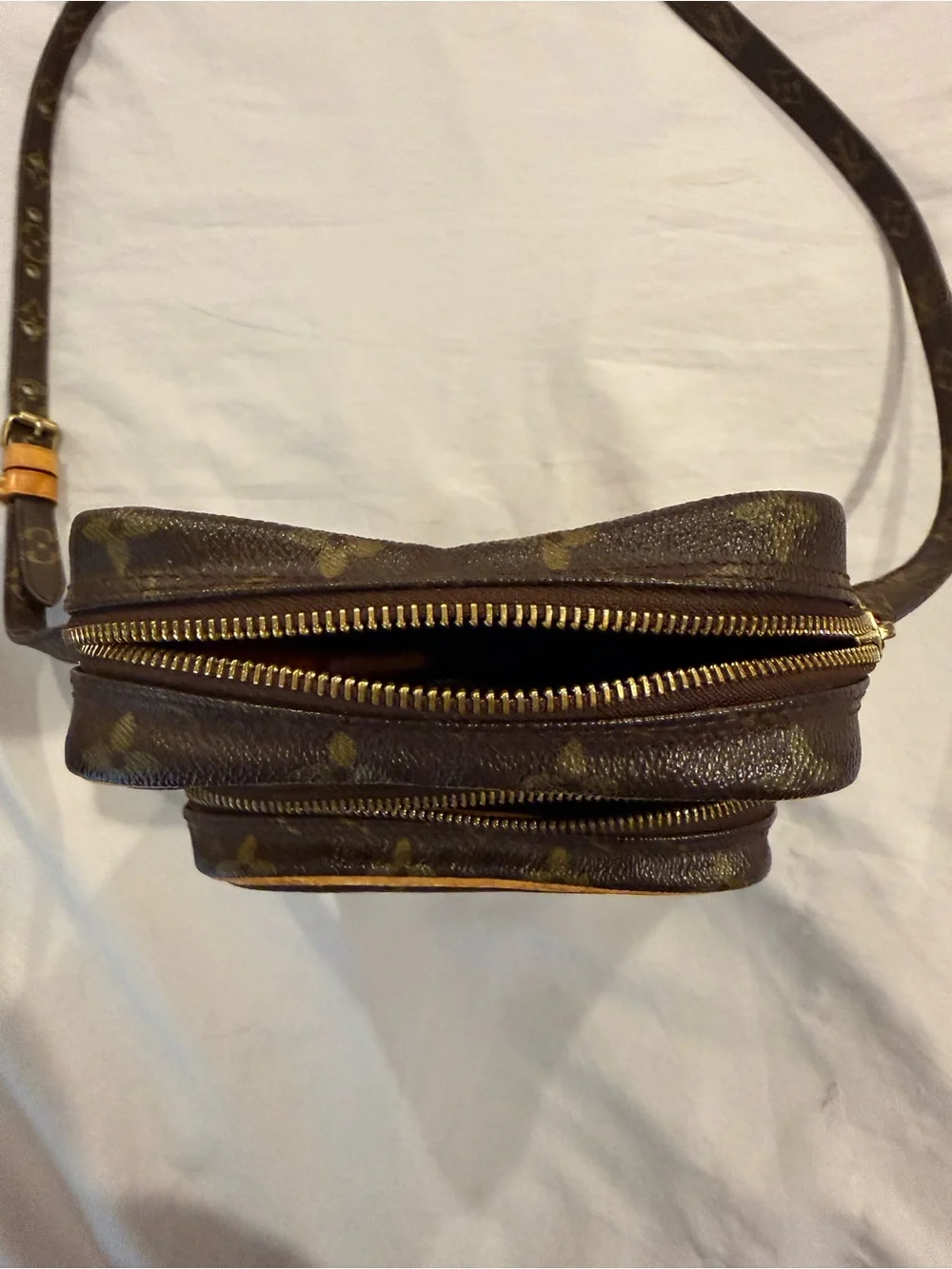 Louis Vuitton iconic louis